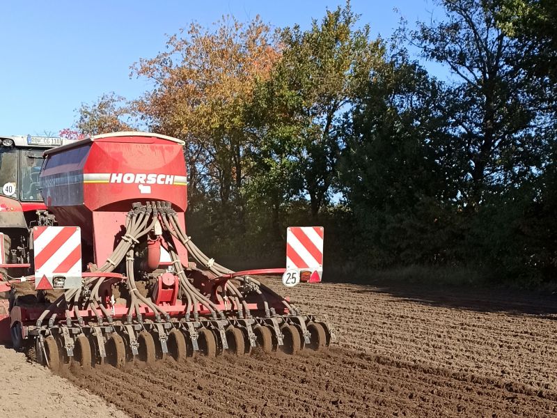 Aussaat Herbst 2021: Der Winterroggen wird im Herbst - hier Mitte Oktober - ausgebracht.