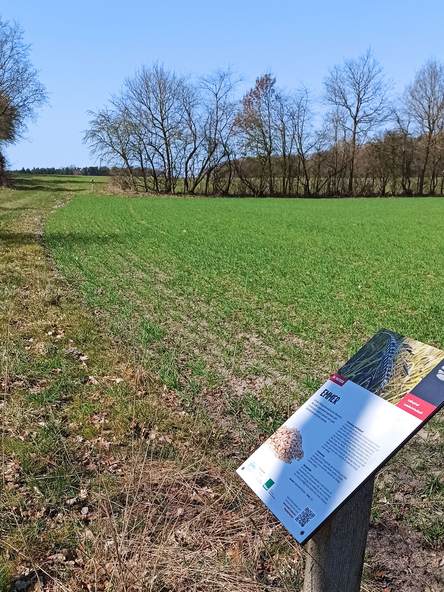 Neue Schilder für den Lehrpfad in Riepholm.