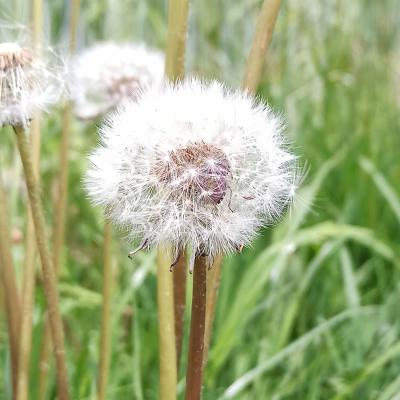 17. Mai: Was ist hier zu sehen?