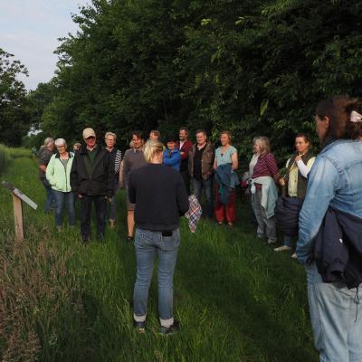 04. Juni: Roggenbrot am Roggenfeld probieren.