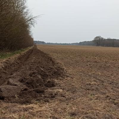 22 04 19 Erste Furche