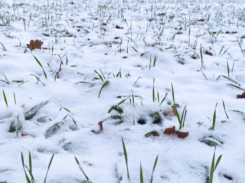 02. Dezember: Etwas Schnee.