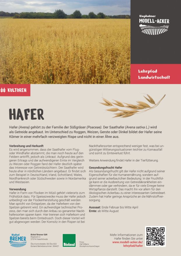 Info-Tafel Hafer