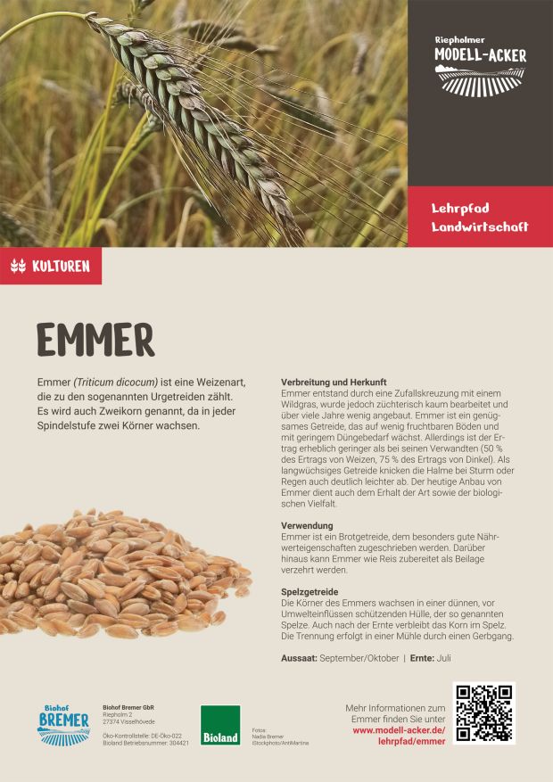 Info-Tafel Emmer