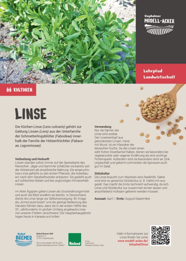 Info-Tafel Linse
