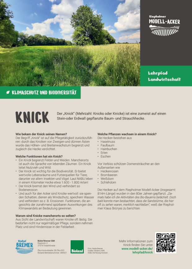 Info-Tafel Knick
