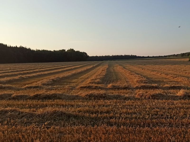 Feierabend! Das Stroh trocknet weiter ab.