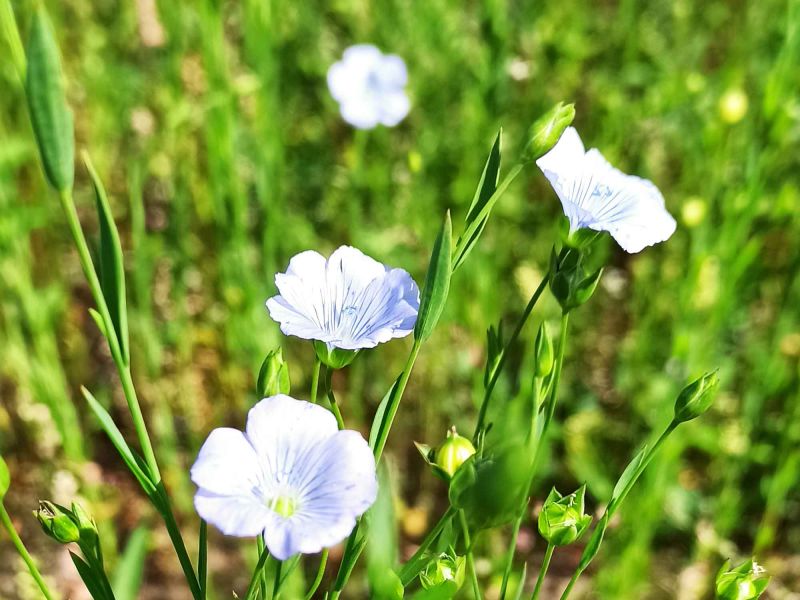 09. Juli