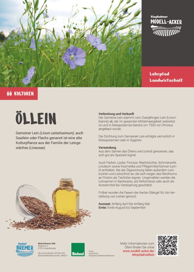 Info-Tafel Lein