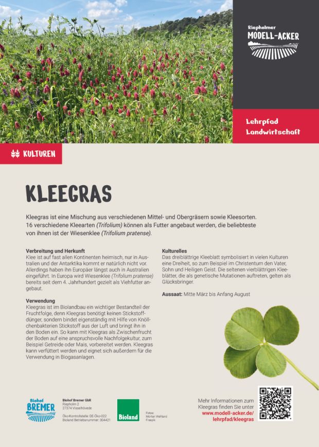 Info-Tafel Kleegras