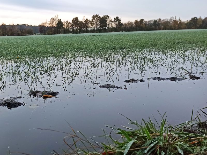 22. November: Zu viel Regen!