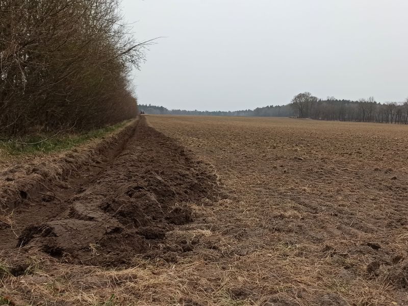 22 04 19 Erste Furche
