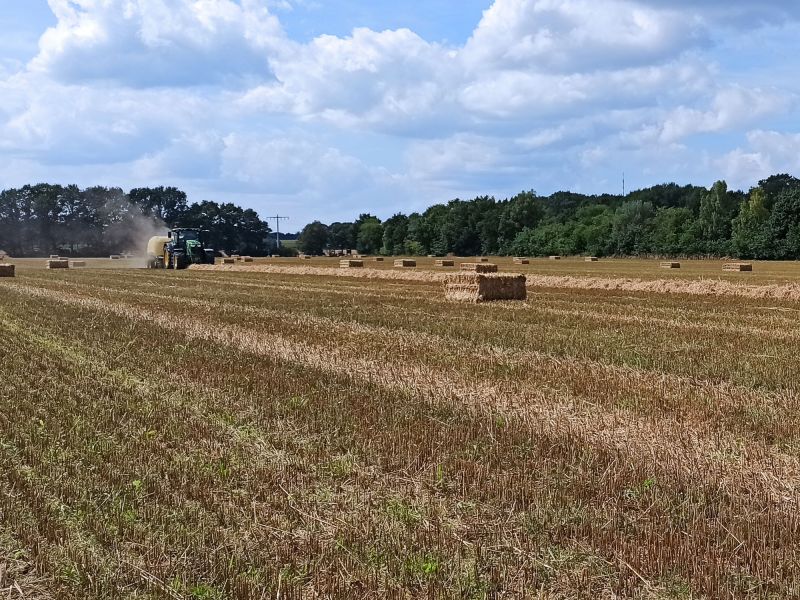 10. August: Stroh für den Winter.