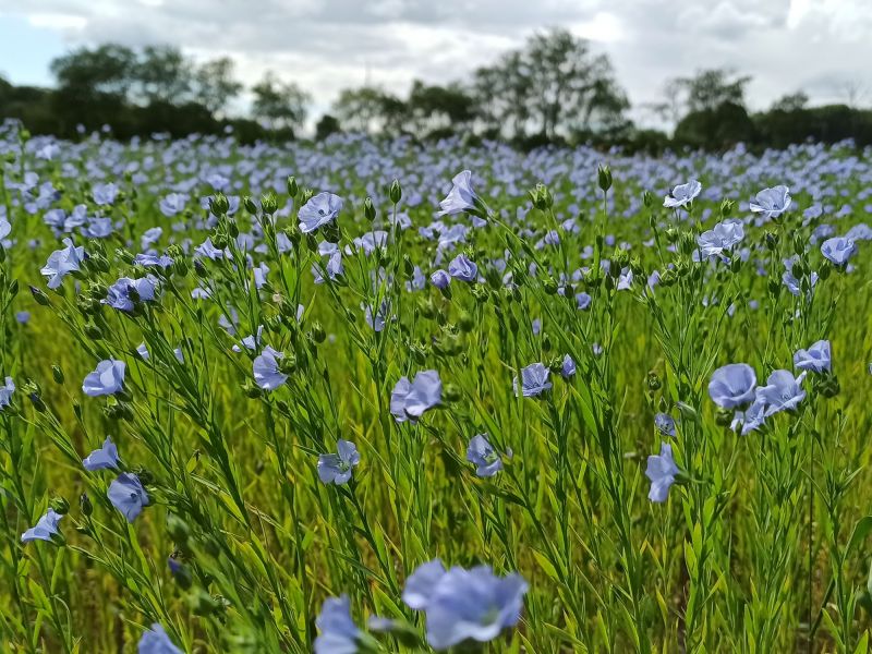 13. Juni 2022: Fahrt ins Blaue!