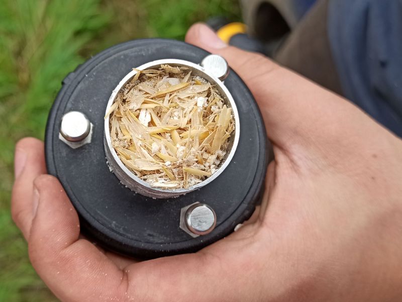 23. Juli 2022: Ist der Hafer trocken genug für die Ernte?tung