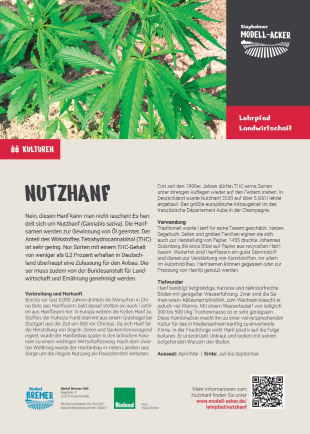Info-Tafel Nutzhanf