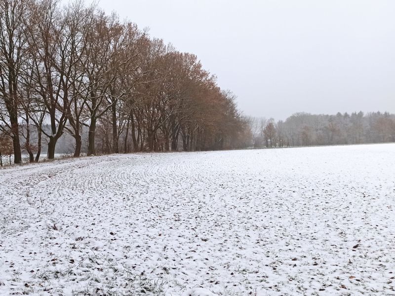 02. Dezember: Schnee!