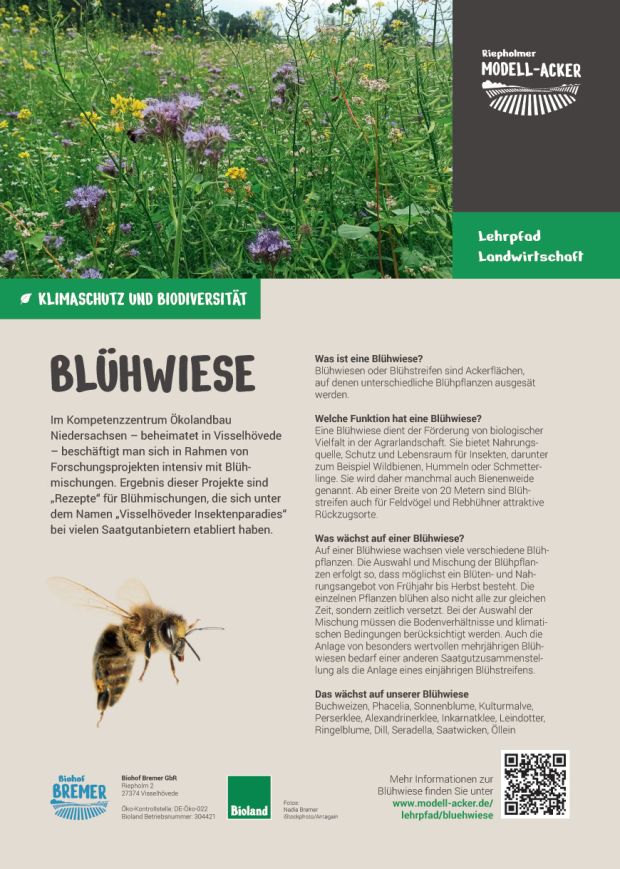 Info-Tafel Blühwiese